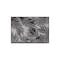 World Rug Gallery Contemporary Distressed Leaves Textured Flat Weave Indoor/Outdoor Area Rug 2' x 3' Black 117BLACK2X3 - alternate 7